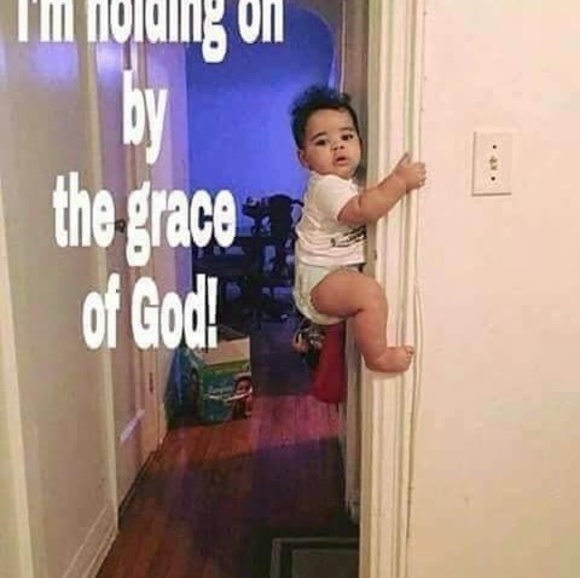 Meet your Posher, Allison - Picture 1 of 1